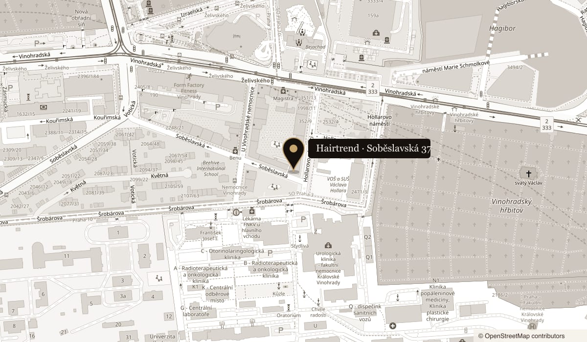 Mapa: Soběslavská 37, Praha 3 – Vinohrady